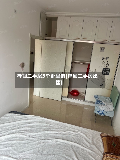 桦甸二手房3个卧室的(桦甸二手房出售)-第3张图片