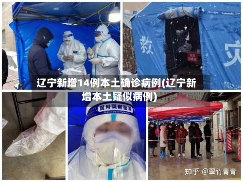 辽宁新增14例本土确诊病例(辽宁新增本土疑似病例)