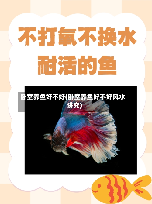 卧室养鱼好不好(卧室养鱼好不好风水讲究)-第1张图片