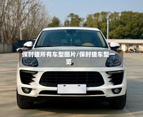 保时捷所有车型图片/保时捷车型一览-第2张图片