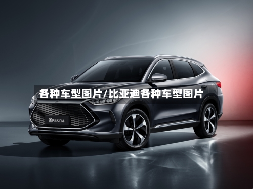 各种车型图片/比亚迪各种车型图片-第2张图片
