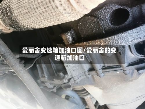 爱丽舍变速箱加油口图/爱丽舍的变速箱加油口-第3张图片