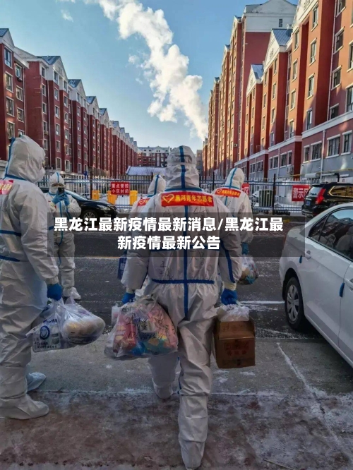 黑龙江最新疫情最新消息/黑龙江最新疫情最新公告-第2张图片