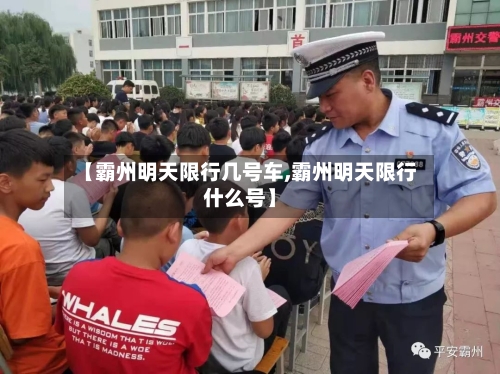 【霸州明天限行几号车,霸州明天限行什么号】-第1张图片