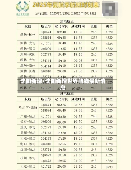 沈阳新增/沈阳新增世界航线最新消息