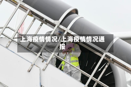 上海疫情情况/上海疫情情况通报-第2张图片