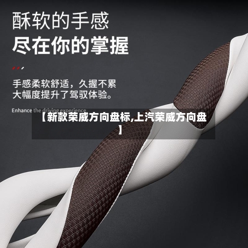 【新款荣威方向盘标,上汽荣威方向盘】-第3张图片