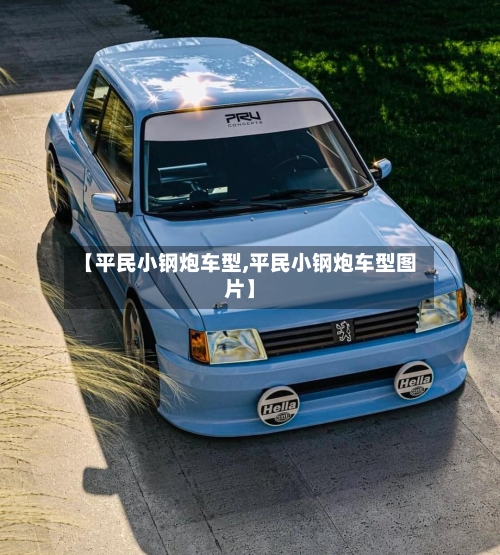 【平民小钢炮车型,平民小钢炮车型图片】-第1张图片