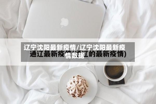 辽宁沈阳最新疫情/辽宁沈阳最新疫情数据-第3张图片