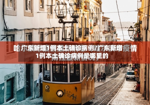 广东新增1例本土确诊病例/广东新增1例本土确诊病例是哪里的