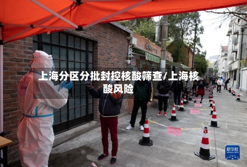 上海分区分批封控核酸筛查/上海核酸风险