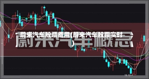 蔚来汽车股票费用(蔚来汽车股票实时)-第1张图片