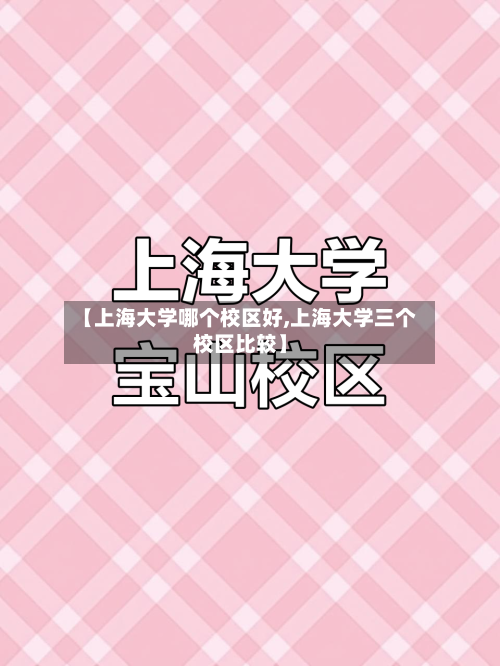 【上海大学哪个校区好,上海大学三个校区比较】-第2张图片
