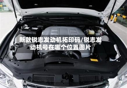 新款锐志发动机拓印码/锐志发动机号在哪个位置图片-第1张图片