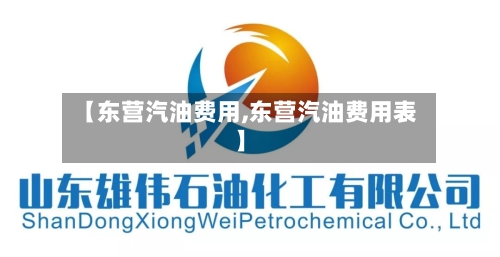 【东营汽油费用,东营汽油费用表】-第2张图片