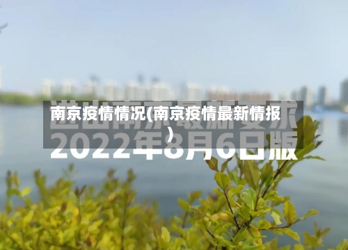 南京疫情情况(南京疫情最新情报)