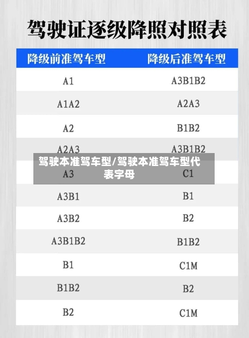 驾驶本准驾车型/驾驶本准驾车型代表字母-第1张图片