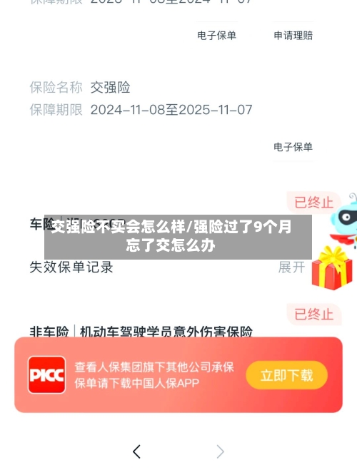 交强险不买会怎么样/强险过了9个月忘了交怎么办-第2张图片