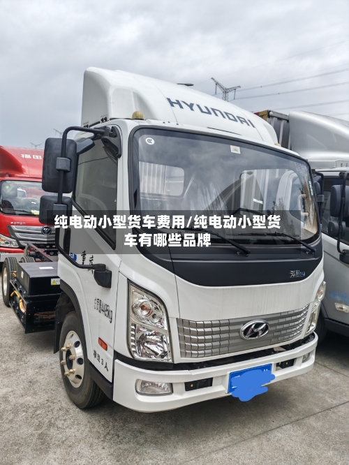 纯电动小型货车费用/纯电动小型货车有哪些品牌-第2张图片