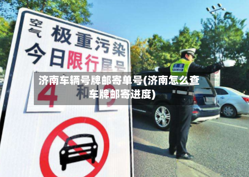 济南车辆号牌邮寄单号(济南怎么查车牌邮寄进度)-第2张图片