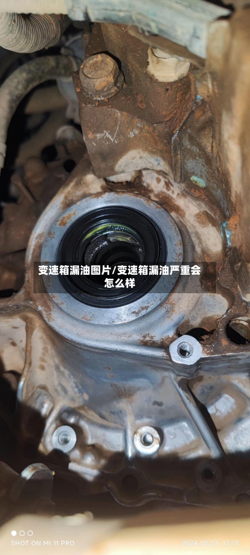 变速箱漏油图片/变速箱漏油严重会怎么样-第3张图片