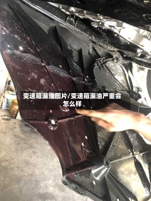 变速箱漏油图片/变速箱漏油严重会怎么样-第1张图片
