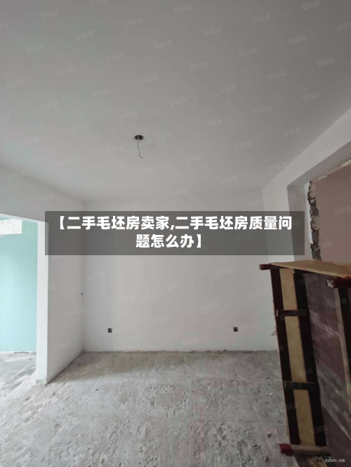【二手毛坯房卖家,二手毛坯房质量问题怎么办】-第1张图片