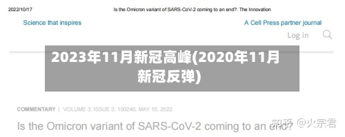 2023年11月新冠高峰(2020年11月新冠反弹)-第2张图片