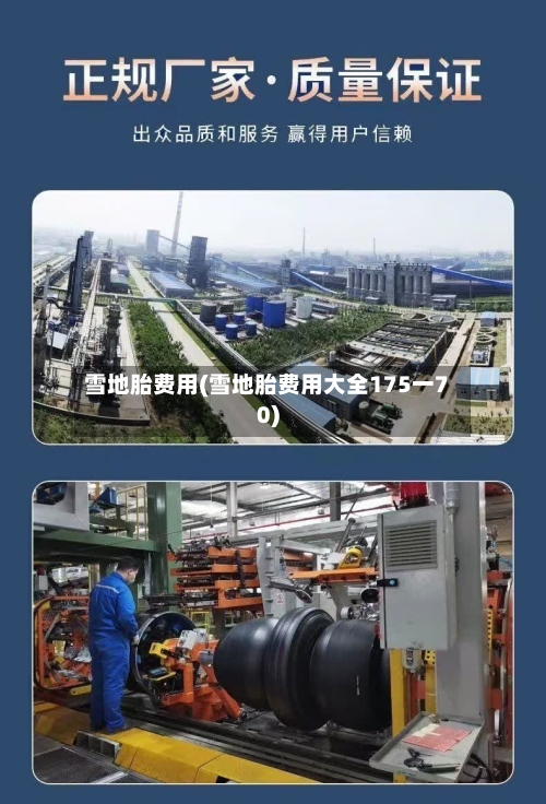雪地胎费用(雪地胎费用大全175一70)-第2张图片