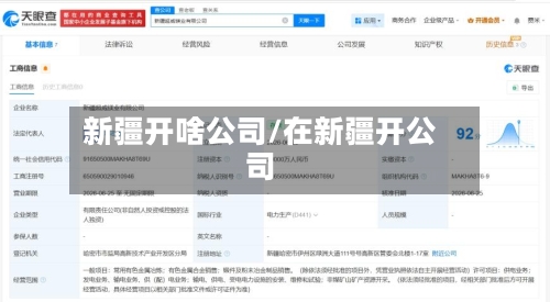 新疆开啥公司/在新疆开公司-第1张图片