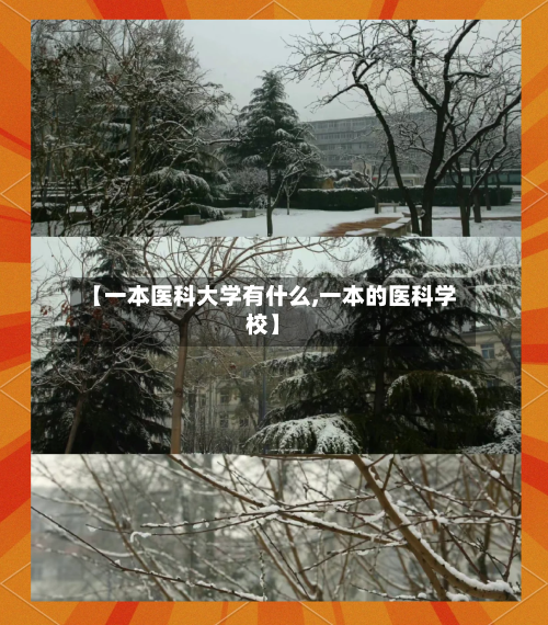 【一本医科大学有什么,一本的医科学校】-第1张图片