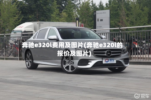 奔驰e320l费用及图片(奔驰e320l的报价及图片)-第1张图片