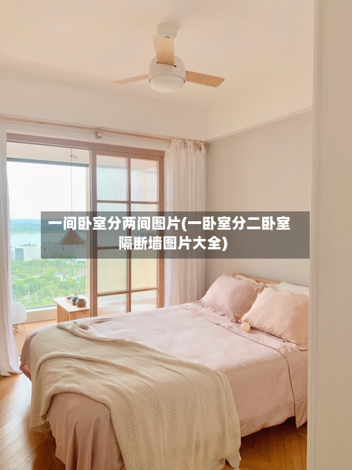 一间卧室分两间图片(一卧室分二卧室隔断墙图片大全)-第1张图片