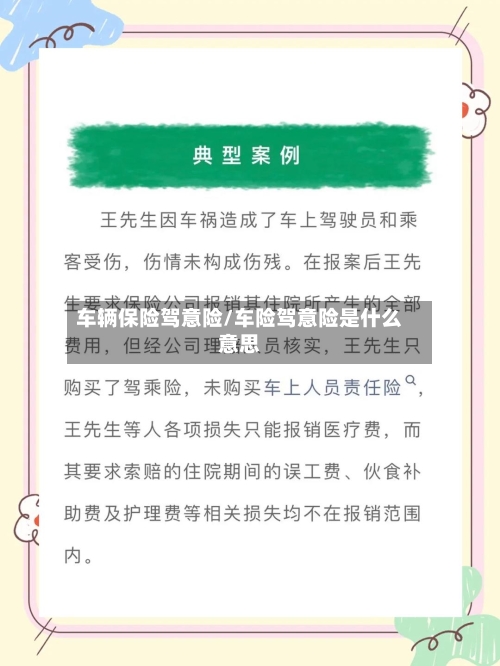 车辆保险驾意险/车险驾意险是什么意思-第2张图片