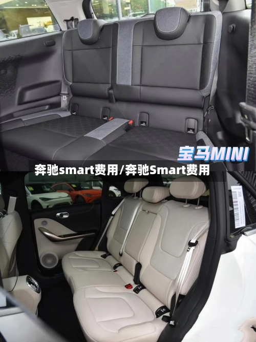 奔驰smart费用/奔驰Smart费用-第2张图片