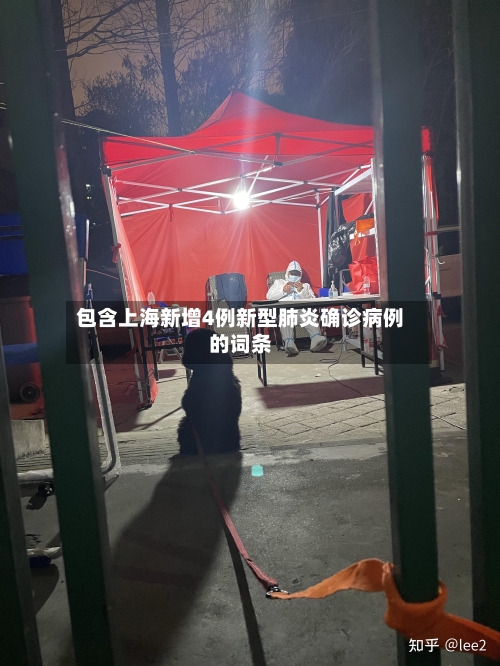 包含上海新增4例新型肺炎确诊病例的词条-第1张图片