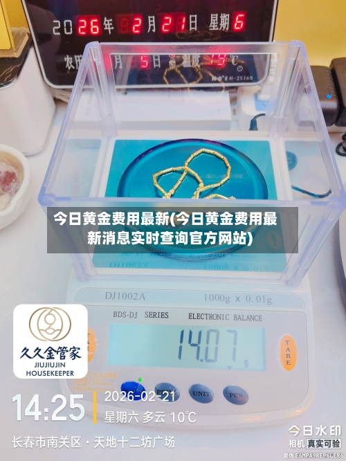今日黄金费用最新(今日黄金费用最新消息实时查询官方网站)-第2张图片
