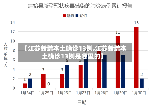 【江苏新增本土确诊13例,江苏新增本土确诊13例是哪里的】-第2张图片