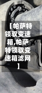 【帕萨特领驭变速箱,帕萨特领驭变速箱滤网】-第1张图片