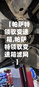 【帕萨特领驭变速箱,帕萨特领驭变速箱滤网】-第2张图片