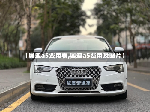 【奥迪a5费用表,奥迪a5费用及图片】-第2张图片