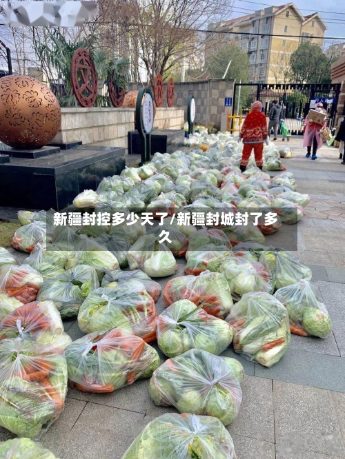 新疆封控多少天了/新疆封城封了多久-第1张图片