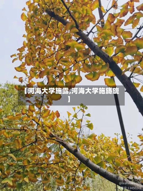 【河海大学施露,河海大学施旖旎】-第1张图片