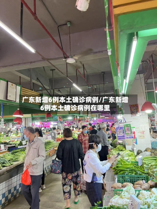 广东新增6例本土确诊病例/广东新增6例本土确诊病例在哪里-第2张图片