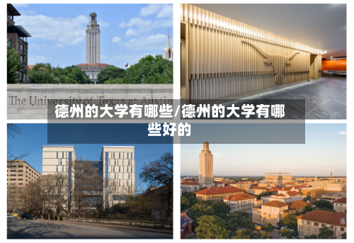 德州的大学有哪些/德州的大学有哪些好的-第1张图片