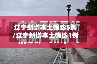辽宁新增本土确诊5例/辽宁新增本土确诊1例-第1张图片