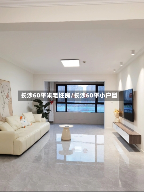 长沙60平米毛坯房/长沙60平小户型-第1张图片