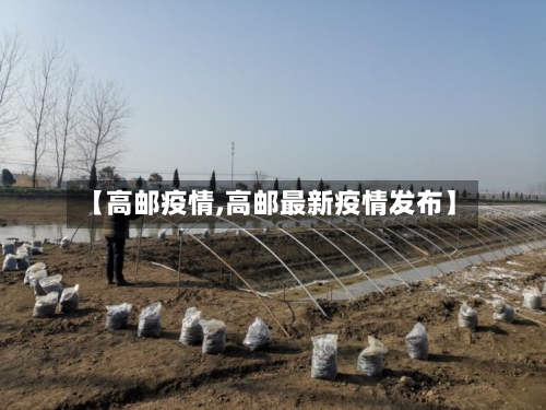 【高邮疫情,高邮最新疫情发布】-第1张图片