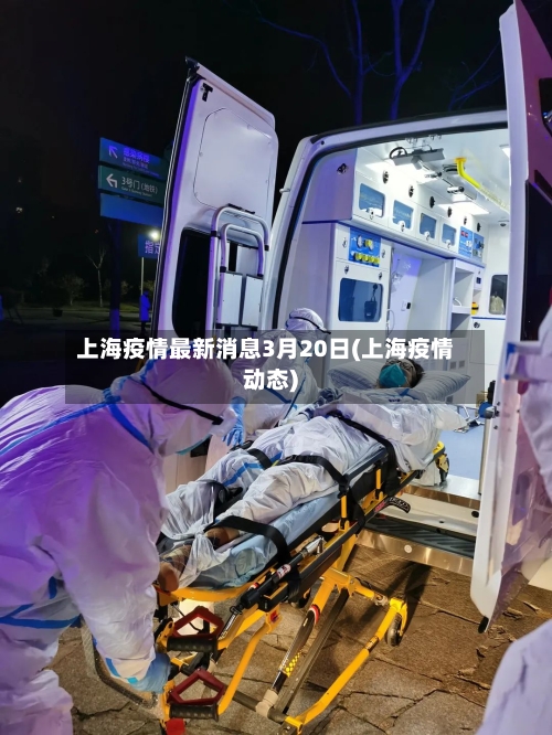 上海疫情最新消息3月20日(上海疫情动态)