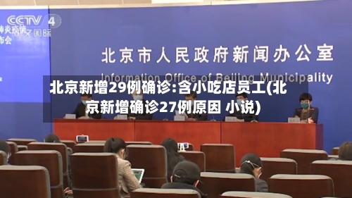 北京新增29例确诊:含小吃店员工(北京新增确诊27例原因 小说)-第1张图片